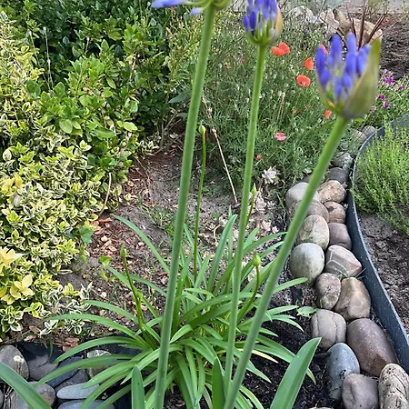 Pause Relax à De Marsan Apartamento