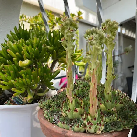 Pause Relax à De Marsan Apartamento Mont-de-Marsan