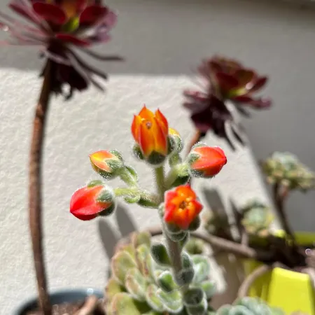 Apartamento Pause Relax à De Marsan Mont-de-Marsan