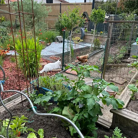 Pause Relax à De Marsan Apartamento Mont-de-Marsan