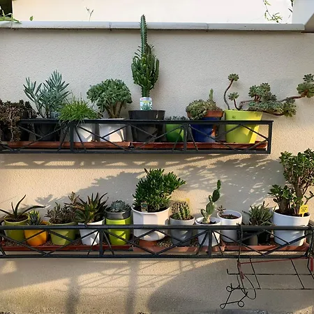 Pause Relax à De Marsan Apartamento Mont-de-Marsan