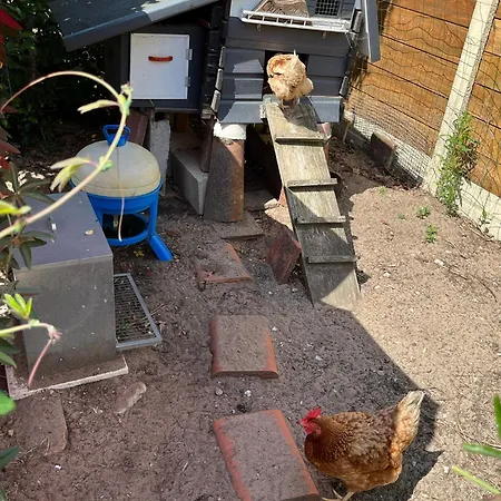 Apartamento Pause Relax à De Marsan Mont-de-Marsan