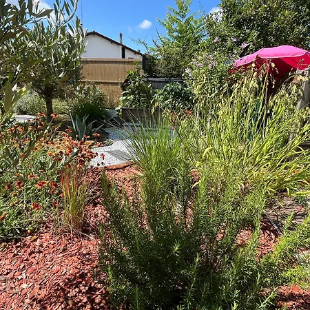 Pause Relax à De Marsan Apartamento