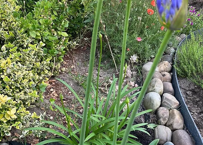 Pause Relax A De Marsan 아파트