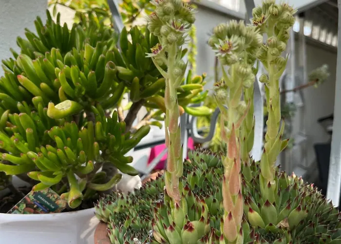 Pause Relax A De Marsan 아파트 몽트드마르장