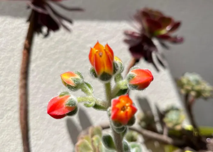 아파트 Pause Relax A De Marsan 몽트드마르장