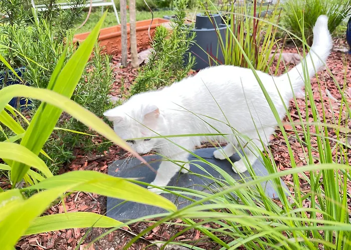 Pause Relax A De Marsan 아파트 몽트드마르장