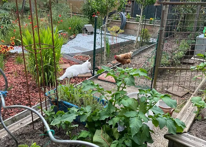 Pause Relax A De Marsan 아파트 몽트드마르장