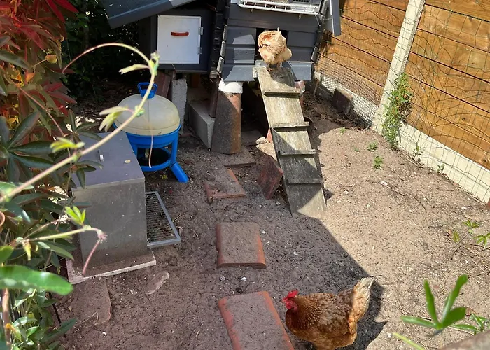 아파트 Pause Relax A De Marsan 몽트드마르장