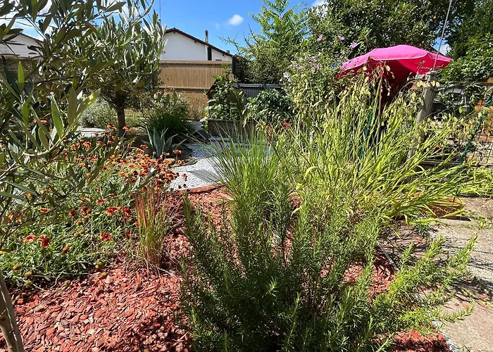 Pause Relax A De Marsan 아파트