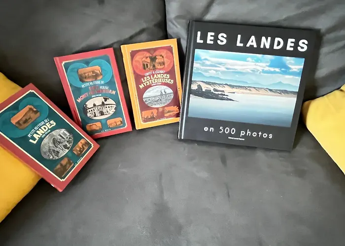 Pause Relax A De Marsan * 몽트드마르장